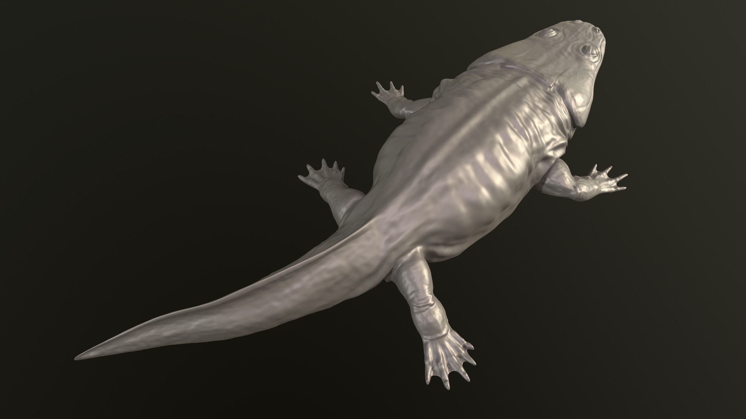 Metoposaurus alligator 3D print model_5