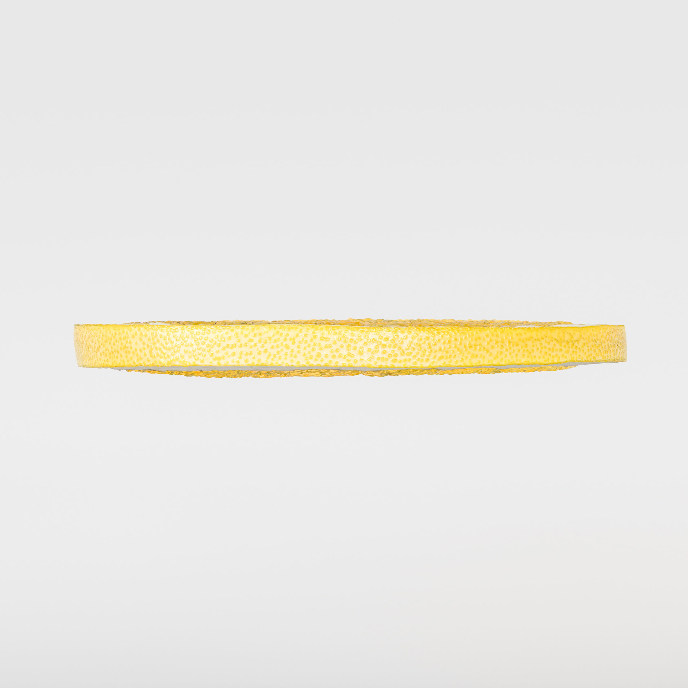 Pomelo Slice 3D model_5