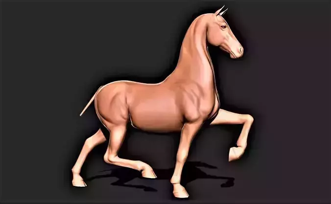 Horse 031