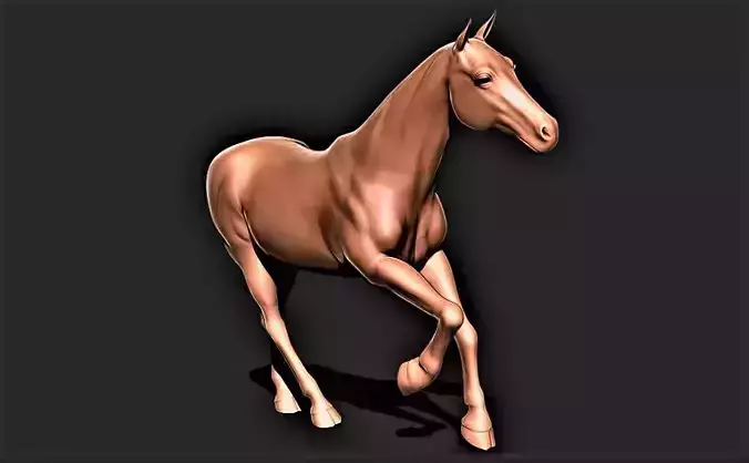 Horse 032