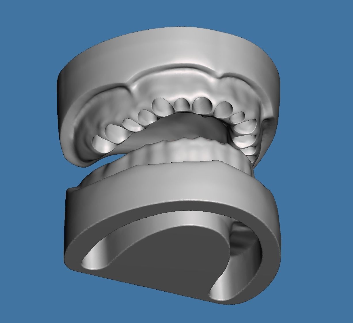 Solid BASE data for dental anatomical typodont 3D print model_2