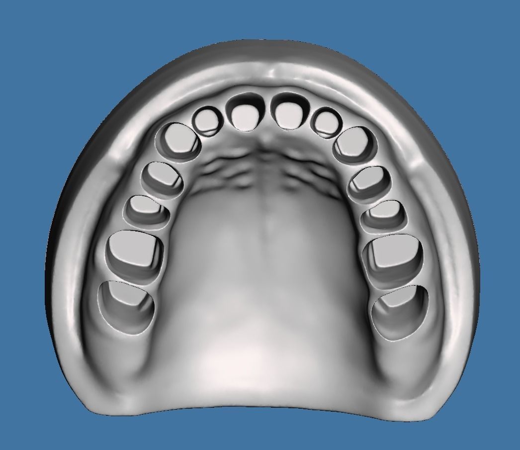 Solid BASE data for dental anatomical typodont 3D print model_3