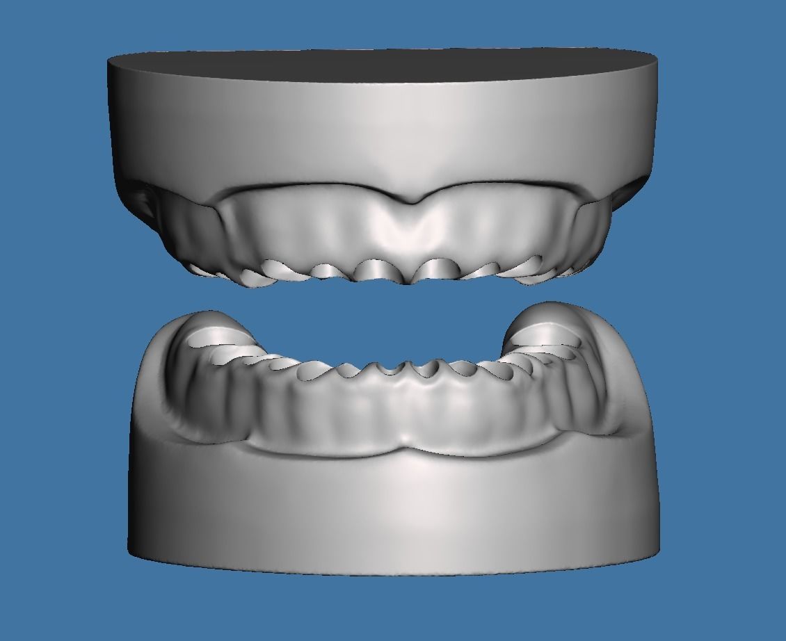 Solid BASE data for dental anatomical typodont 3D print model_1