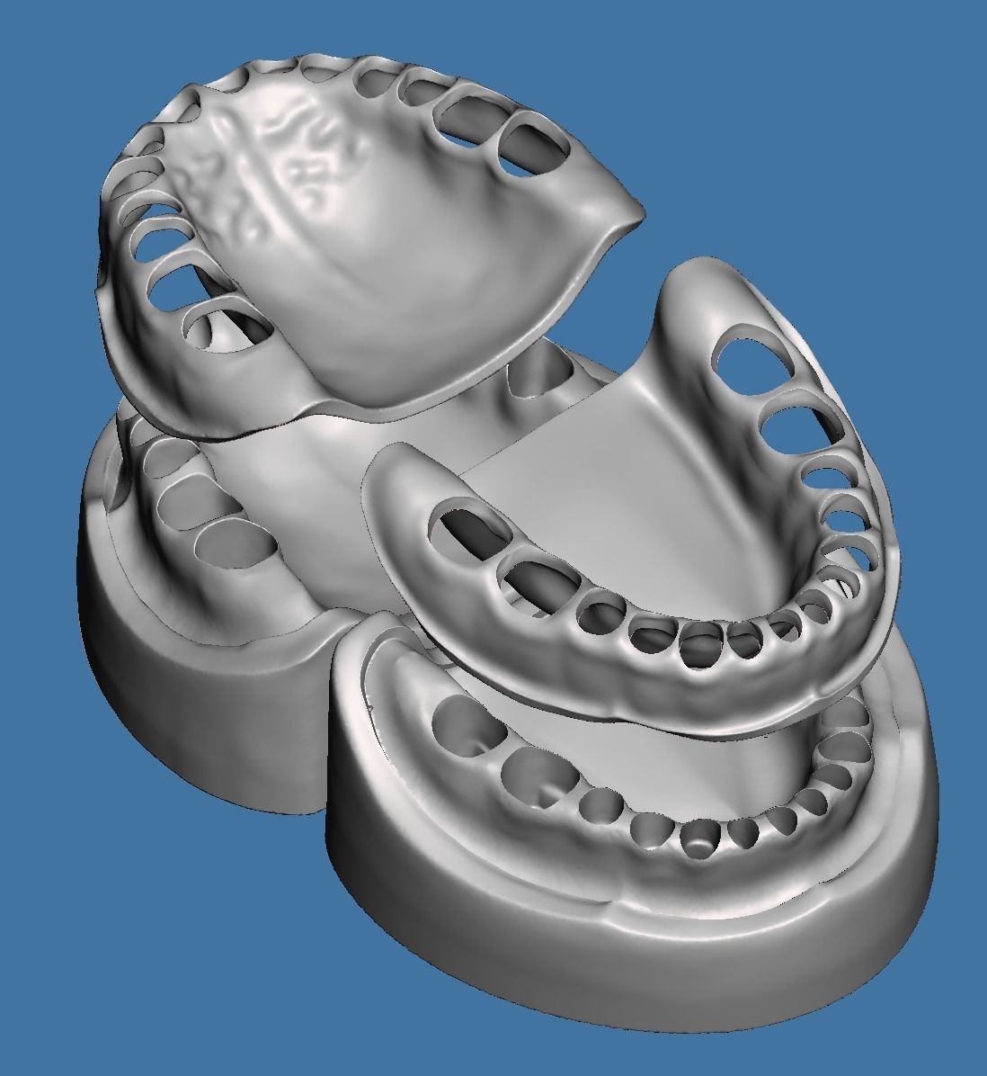 Base and Gum data for dental anatomical typodont 3D print model_5