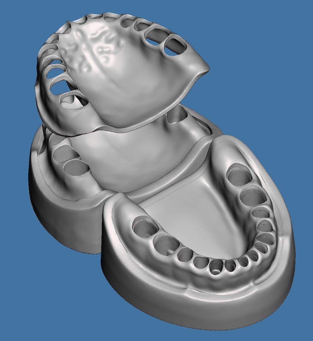 Base and Gum data for dental anatomical typodont 3D print model_1