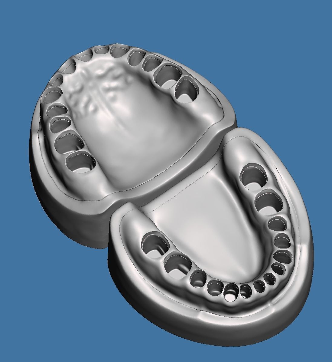 Base and Gum data for dental anatomical typodont 3D print model_4