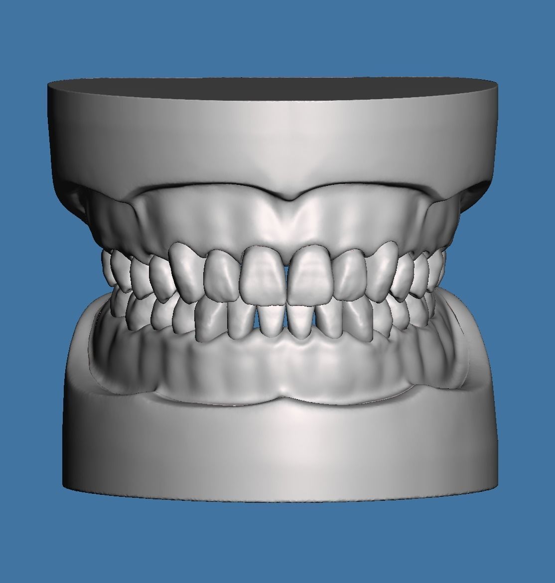 Dental models  Natural teeth typodont maxillary and mandibular 3D Model Collection_2