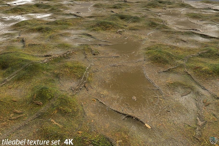 Texture PBR Texture Grass Mud Puddles VR / AR / low-poly | CGTrader