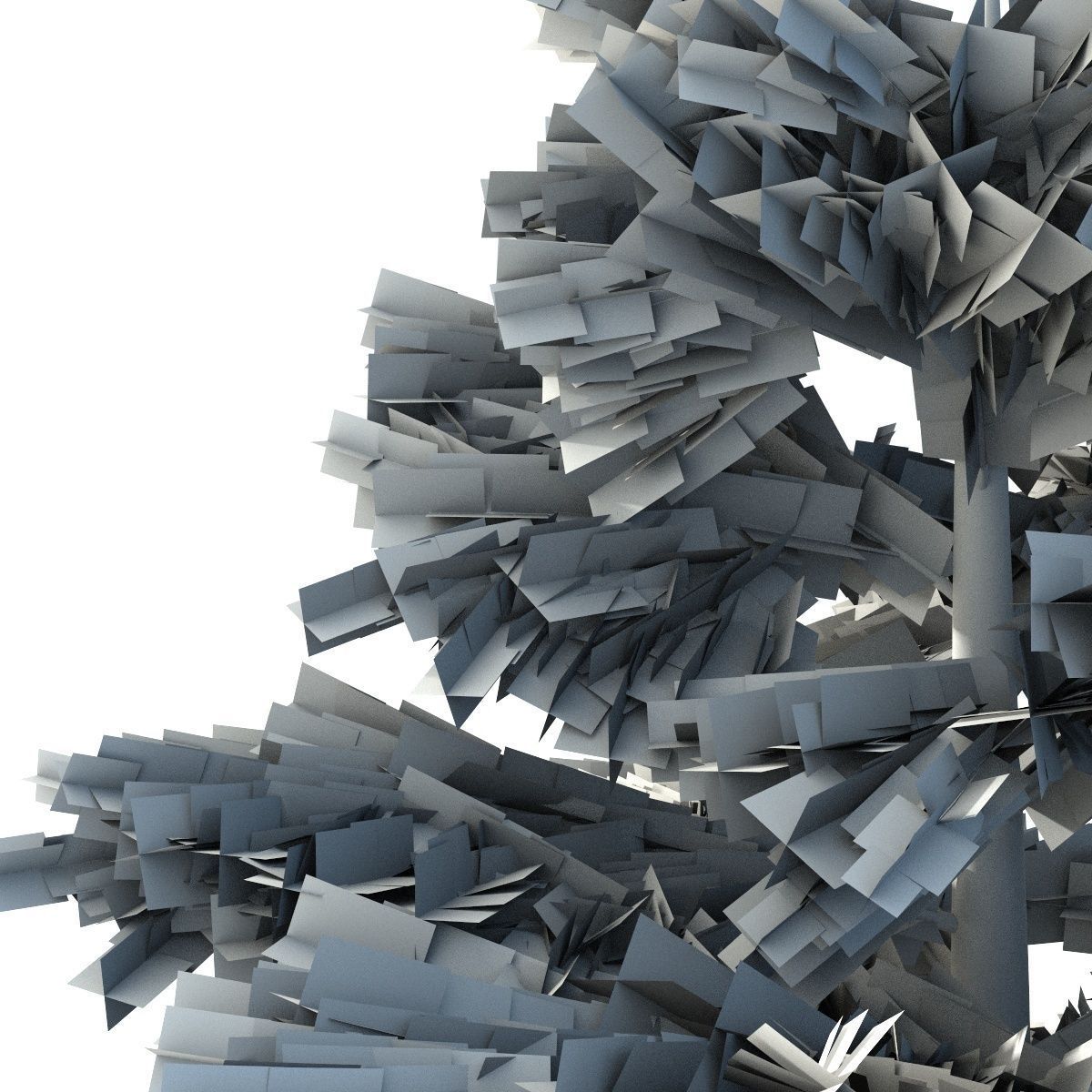 Fir tree - animation of growth 3D model_10