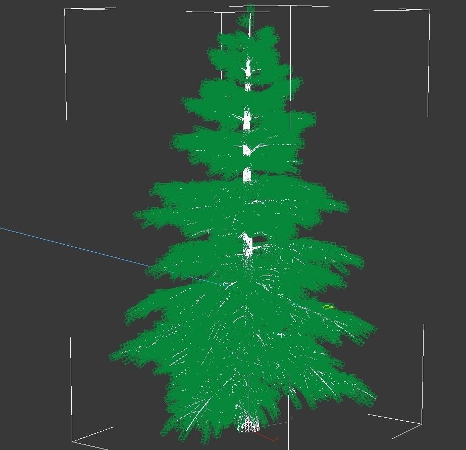 Fir tree - animation of growth 3D model_11