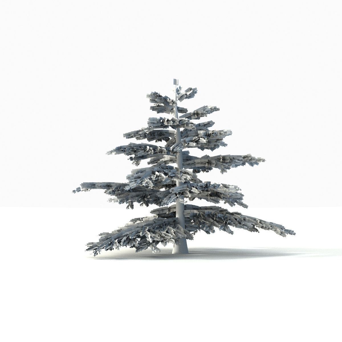 Fir tree - animation of growth 3D model_8