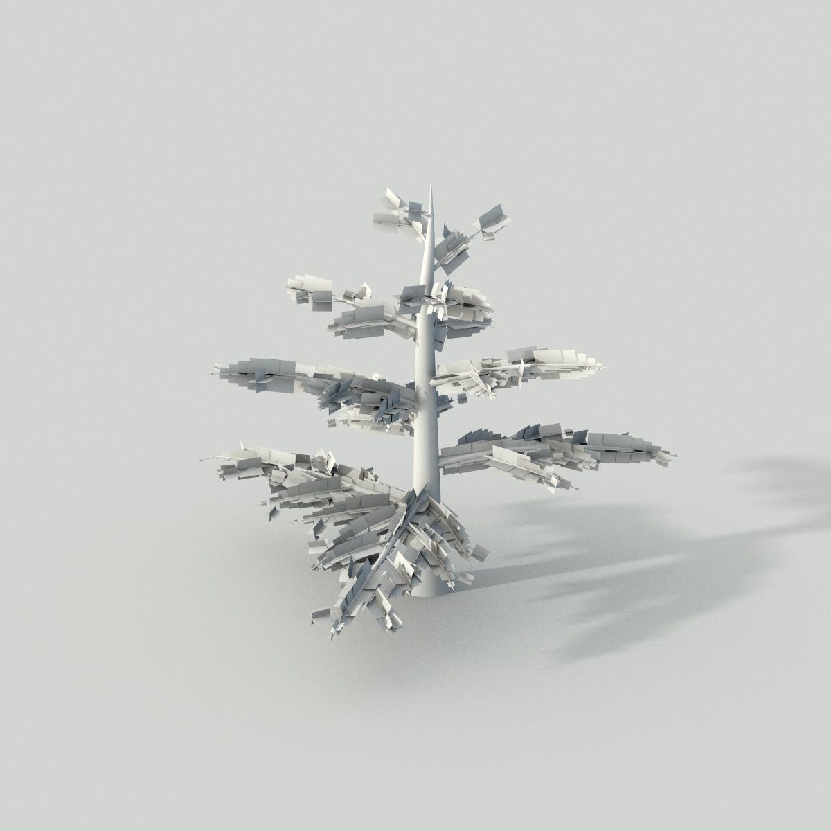 Fir tree - animation of growth 3D model_9