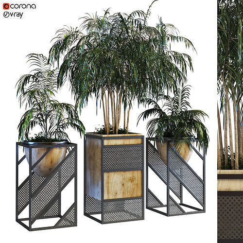 plant in box set 075 Low-poly 3D model