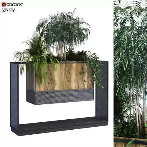 plant in box set 071