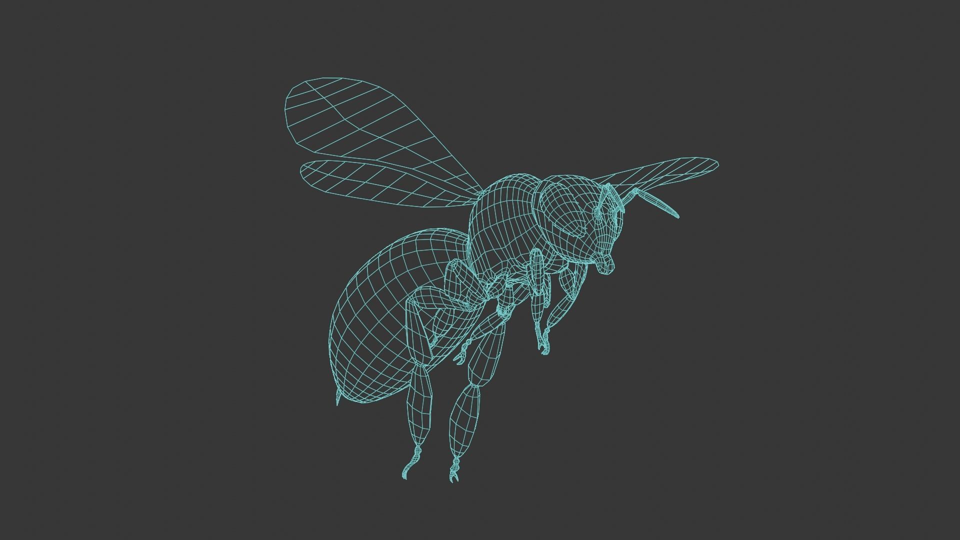 Honey bee Low-poly 3D model_25