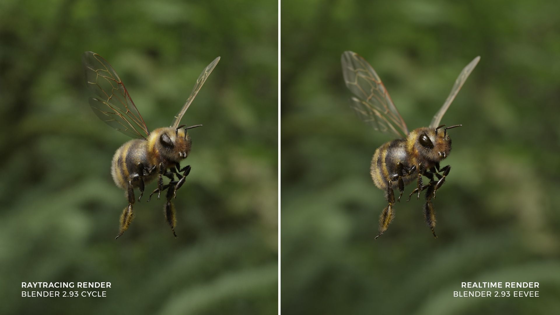 Honey bee Low-poly 3D model_4