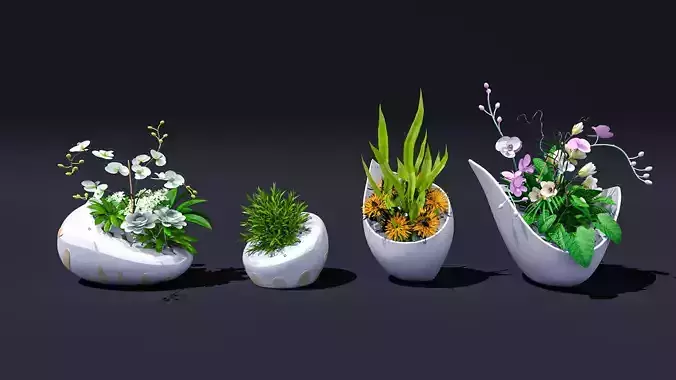 floriculture  Flowers cylinder   commercial design 