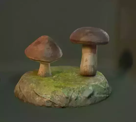 mushroom two mushrooms