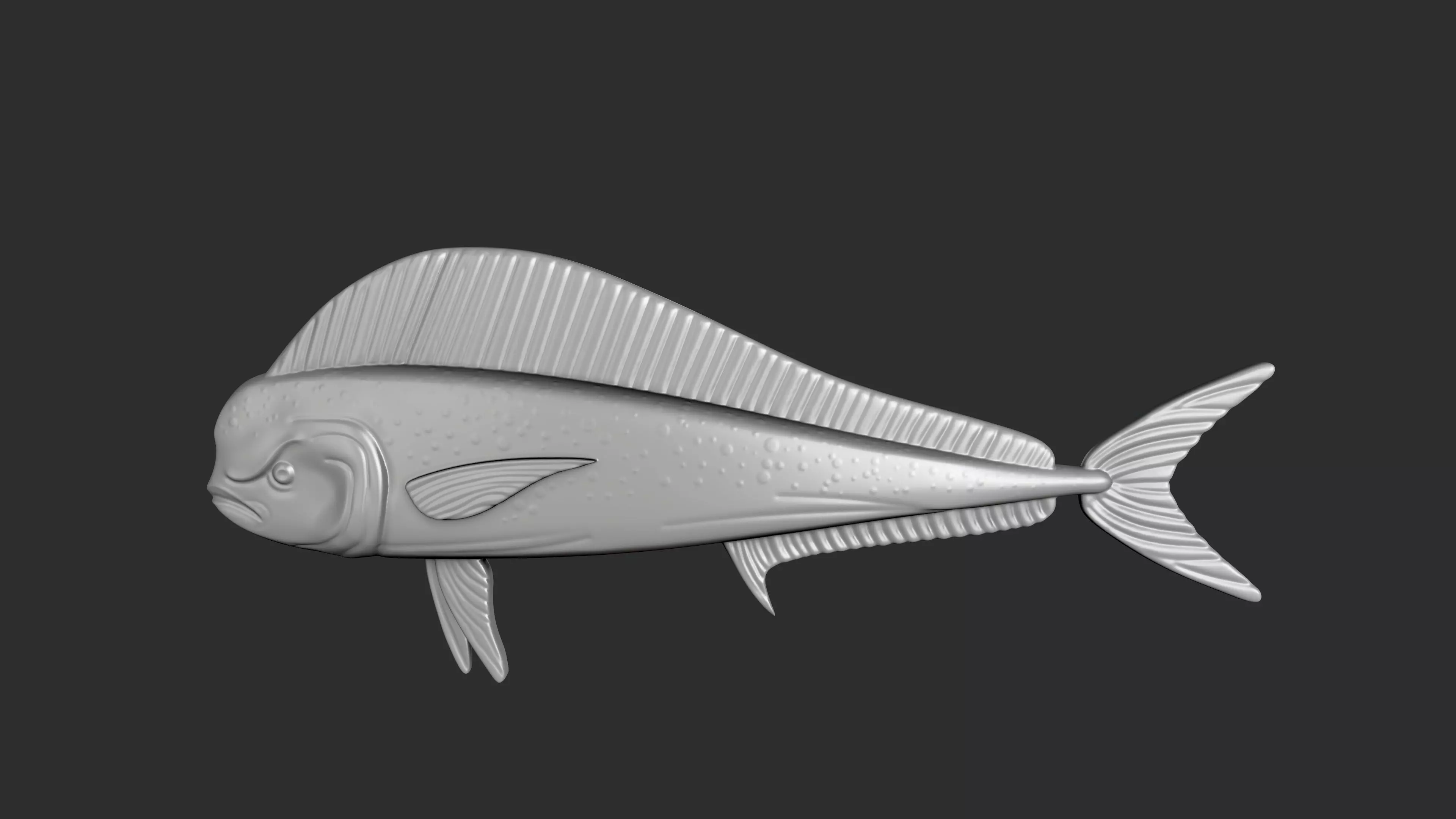 STL models for 3D printing and CNC dolphin fish 3D print model_0