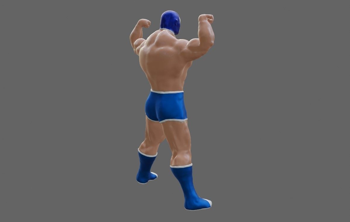 Masked Fighter - Lucha Libre 3D print model_26