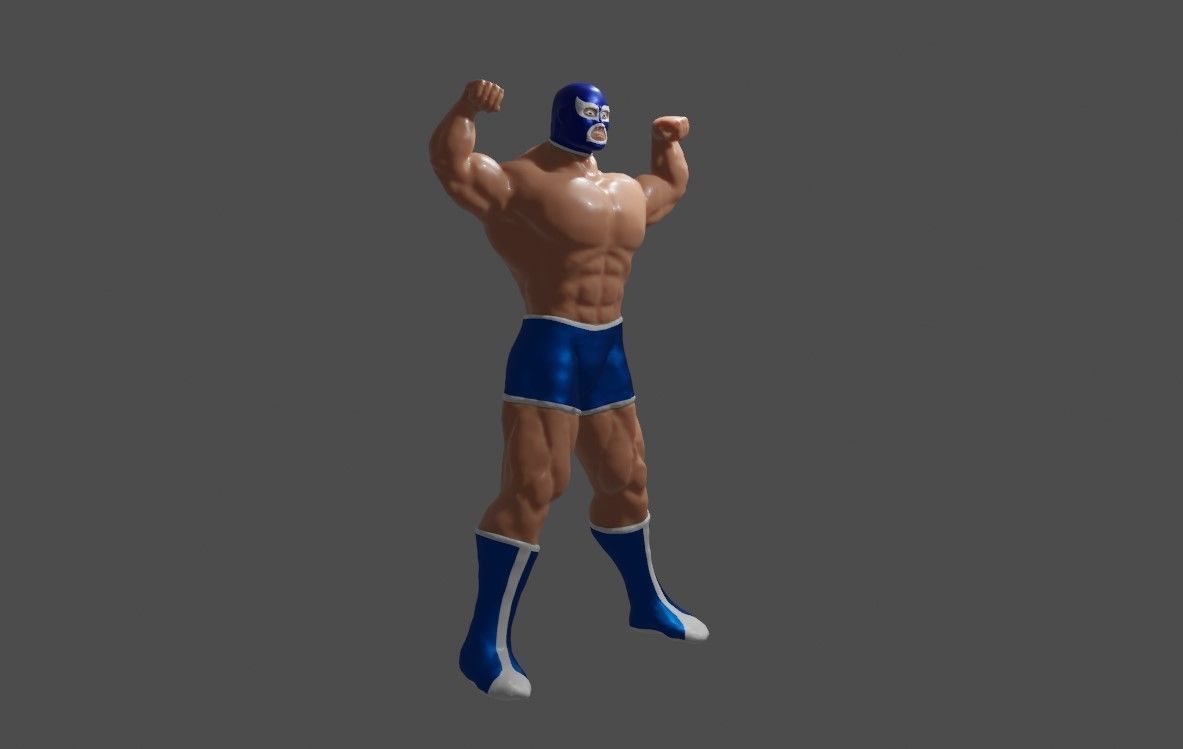 Masked Fighter - Lucha Libre 3D print model_18