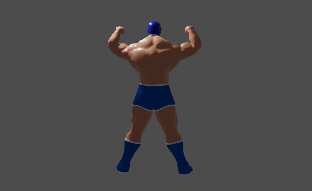 Masked Fighter - Lucha Libre 3D print model_15