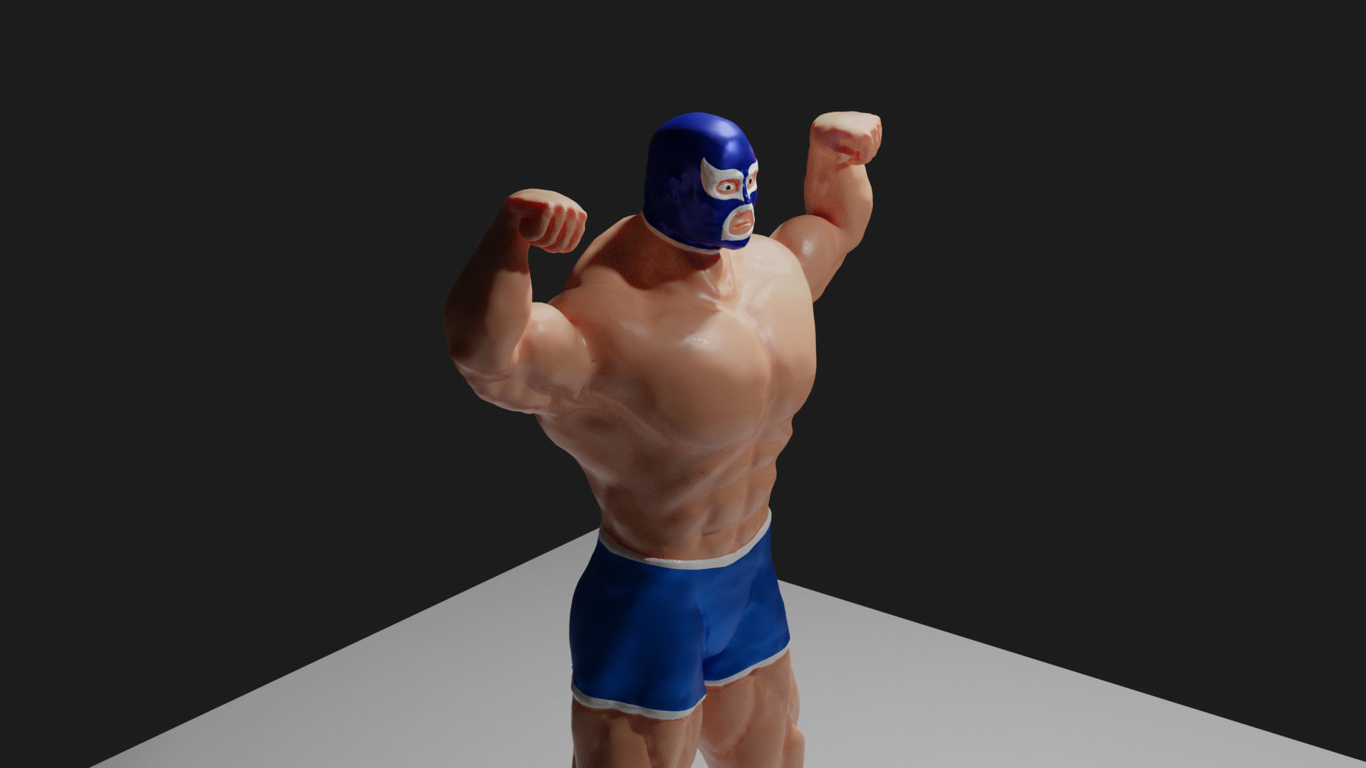 Masked Fighter - Lucha Libre 3D print model_30
