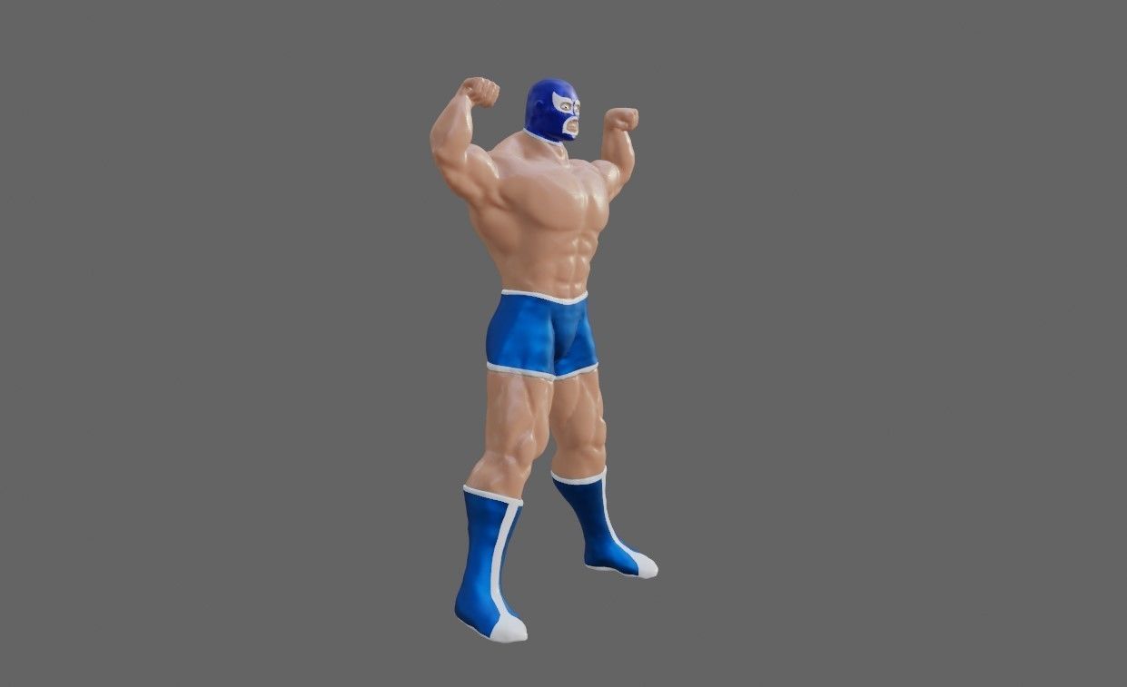 Masked Fighter - Lucha Libre 3D print model_28