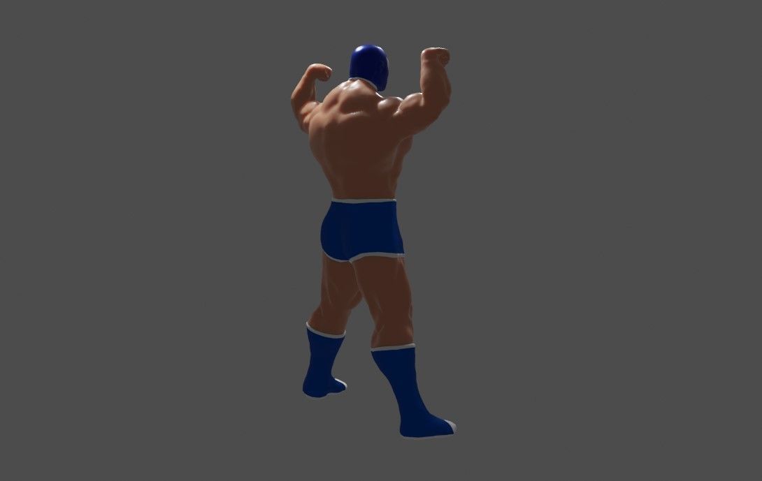 Masked Fighter - Lucha Libre 3D print model_16