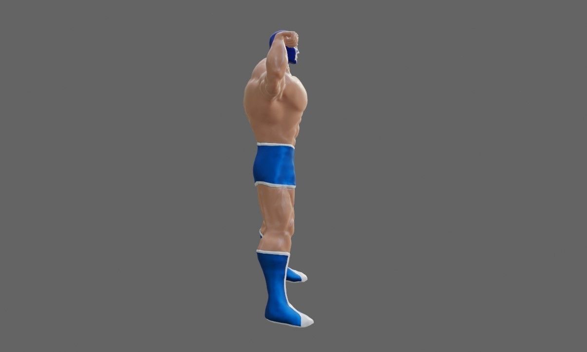 Masked Fighter - Lucha Libre 3D print model_27