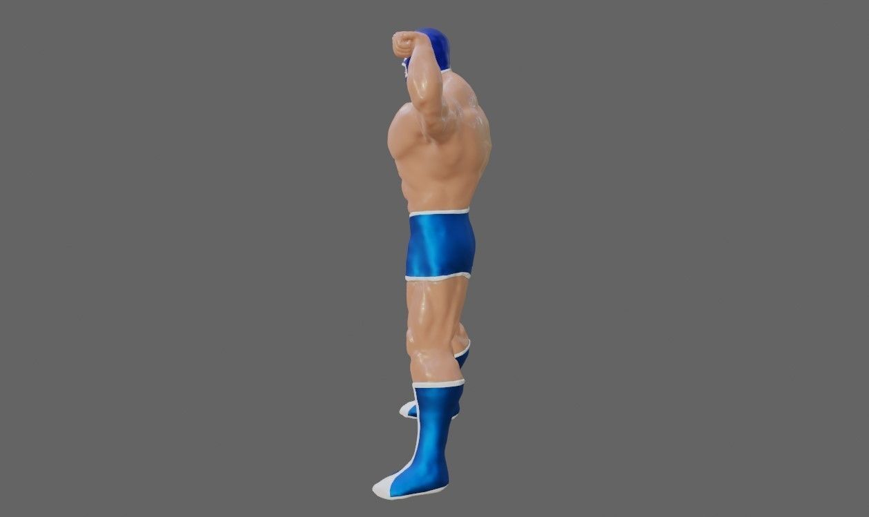 Masked Fighter - Lucha Libre 3D print model_23
