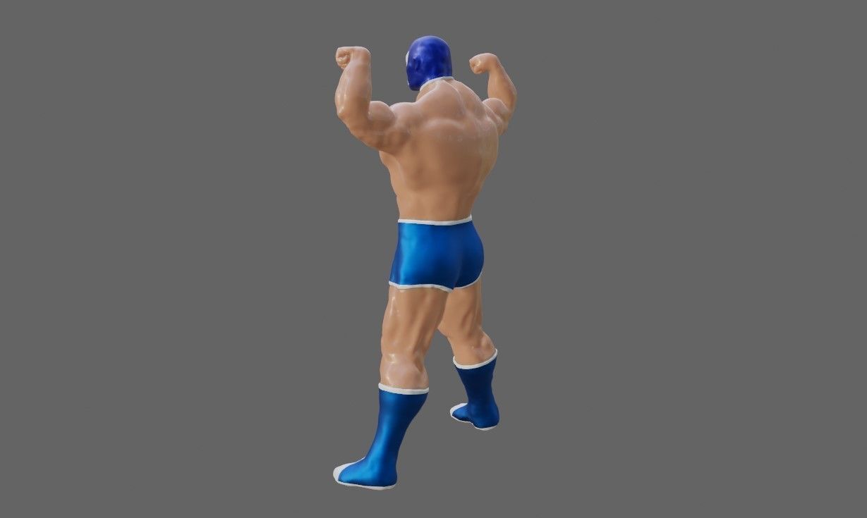 Masked Fighter - Lucha Libre 3D print model_24
