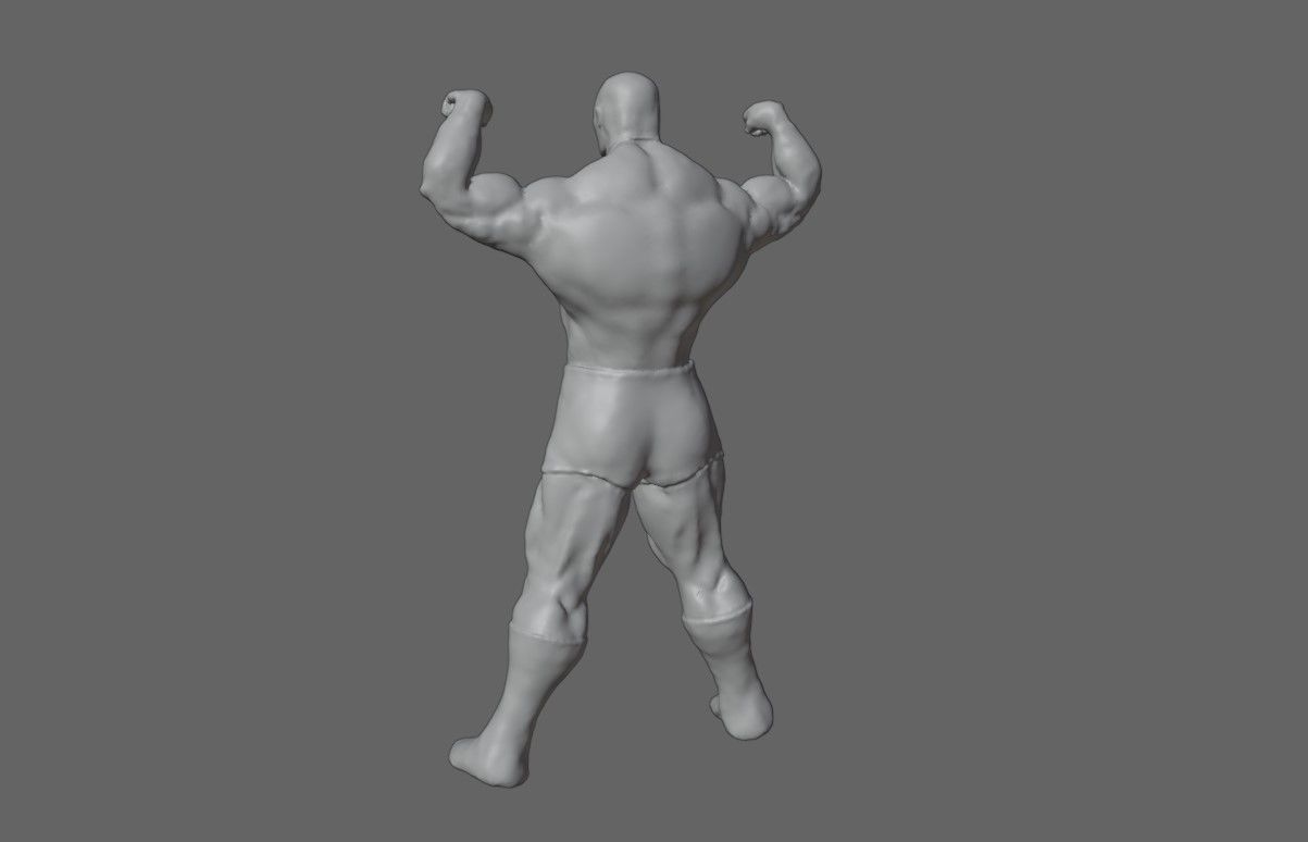 Masked Fighter - Lucha Libre 3D print model_3