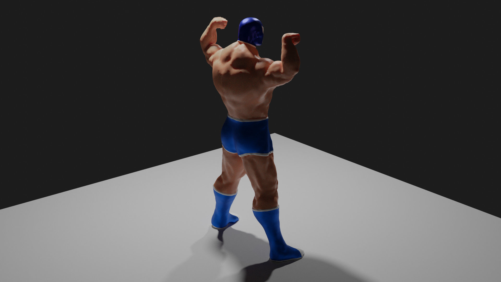Masked Fighter - Lucha Libre 3D print model_34