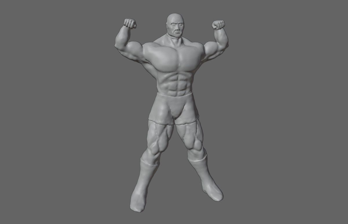 Masked Fighter - Lucha Libre 3D print model_4