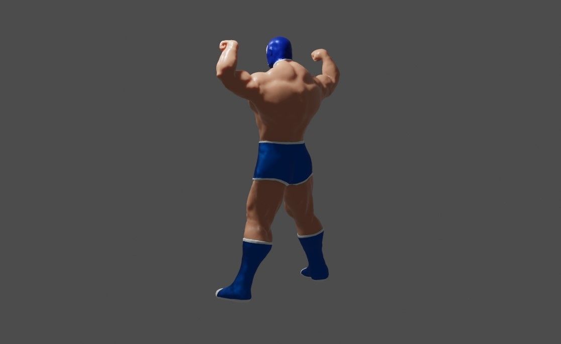 Masked Fighter - Lucha Libre 3D print model_14