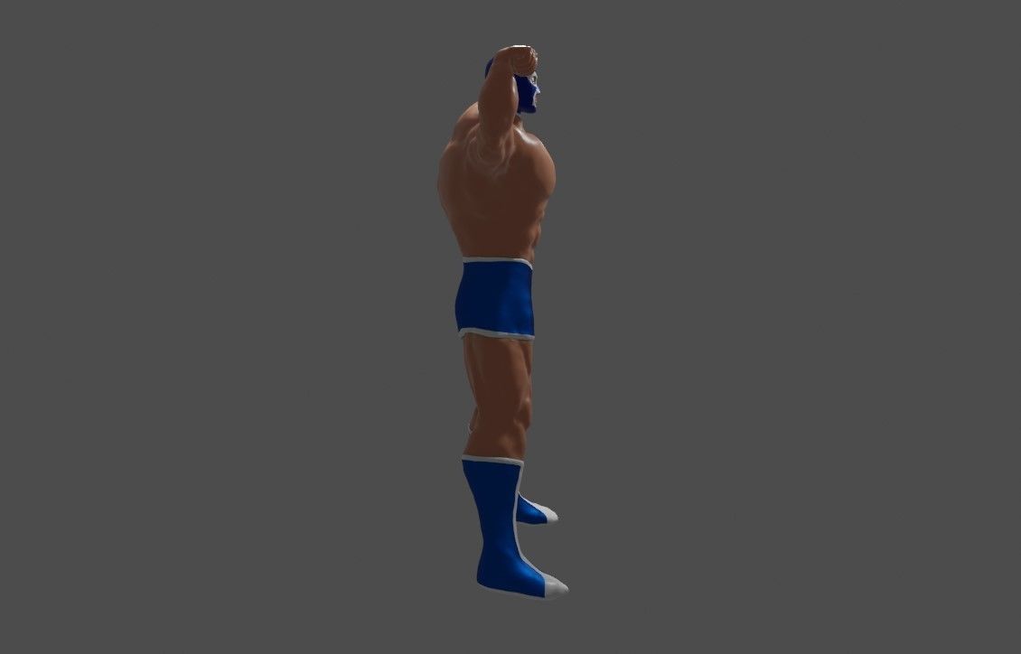 Masked Fighter - Lucha Libre 3D print model_17