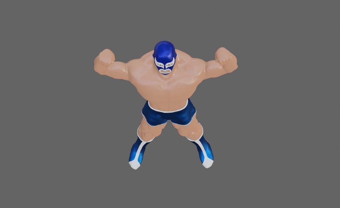 Masked Fighter - Lucha Libre 3D print model_29