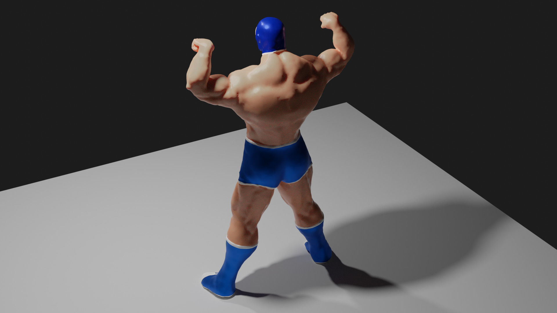 Masked Fighter - Lucha Libre 3D print model_33