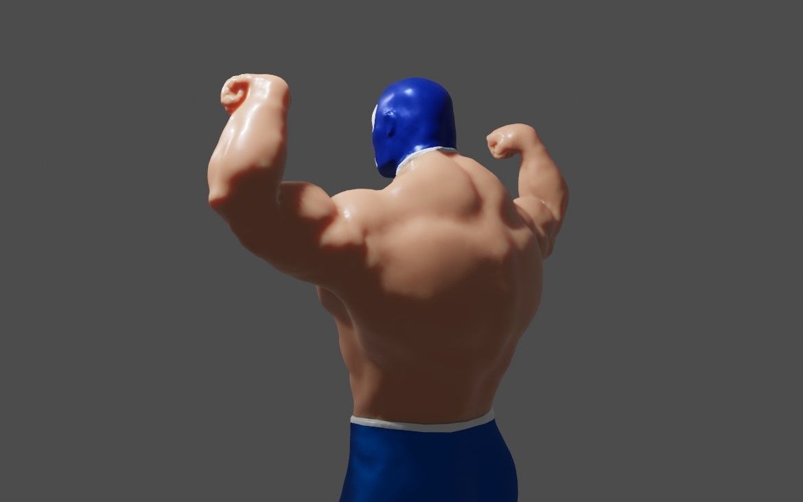 Masked Fighter - Lucha Libre 3D print model_2