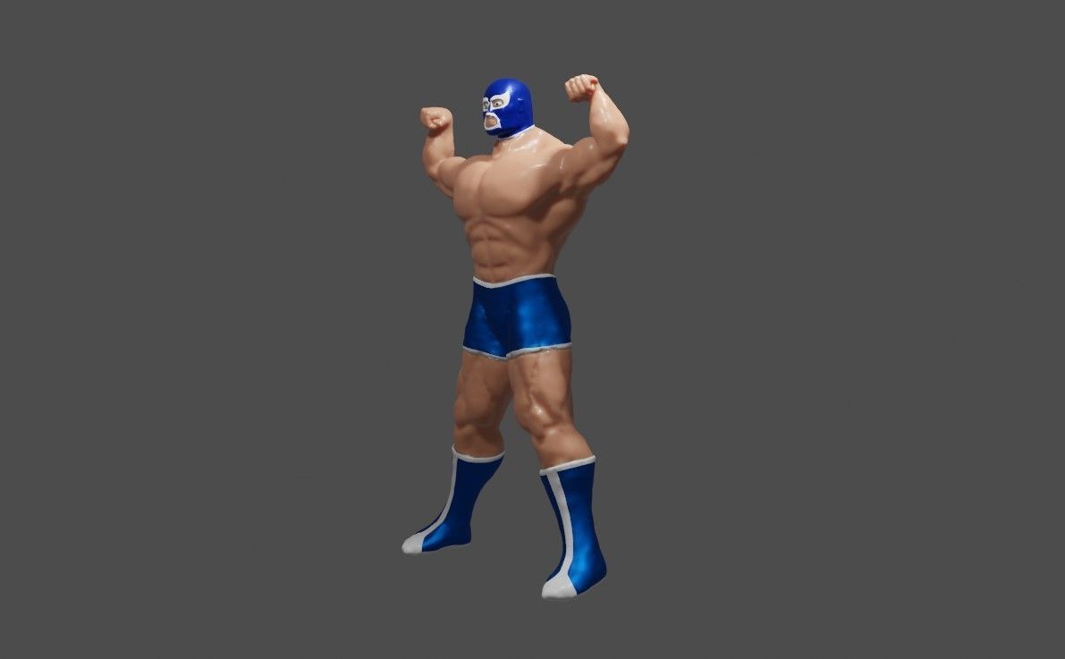 Masked Fighter - Lucha Libre 3D print model_12