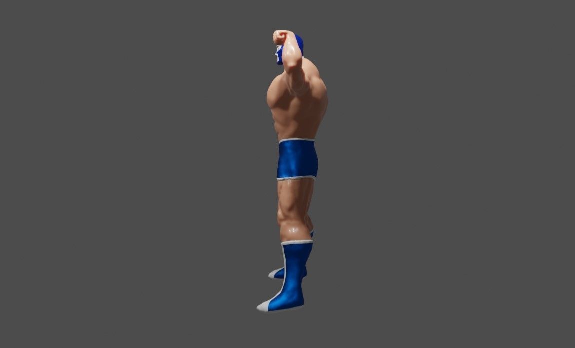 Masked Fighter - Lucha Libre 3D print model_13
