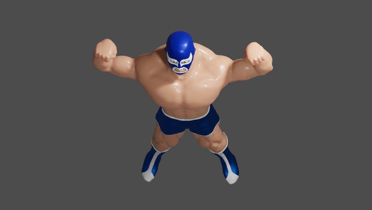 Masked Fighter - Lucha Libre 3D print model_20