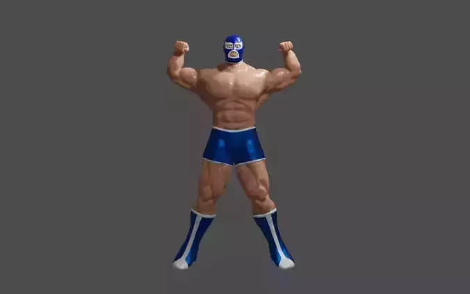 Masked Fighter - Lucha Libre 3D print model