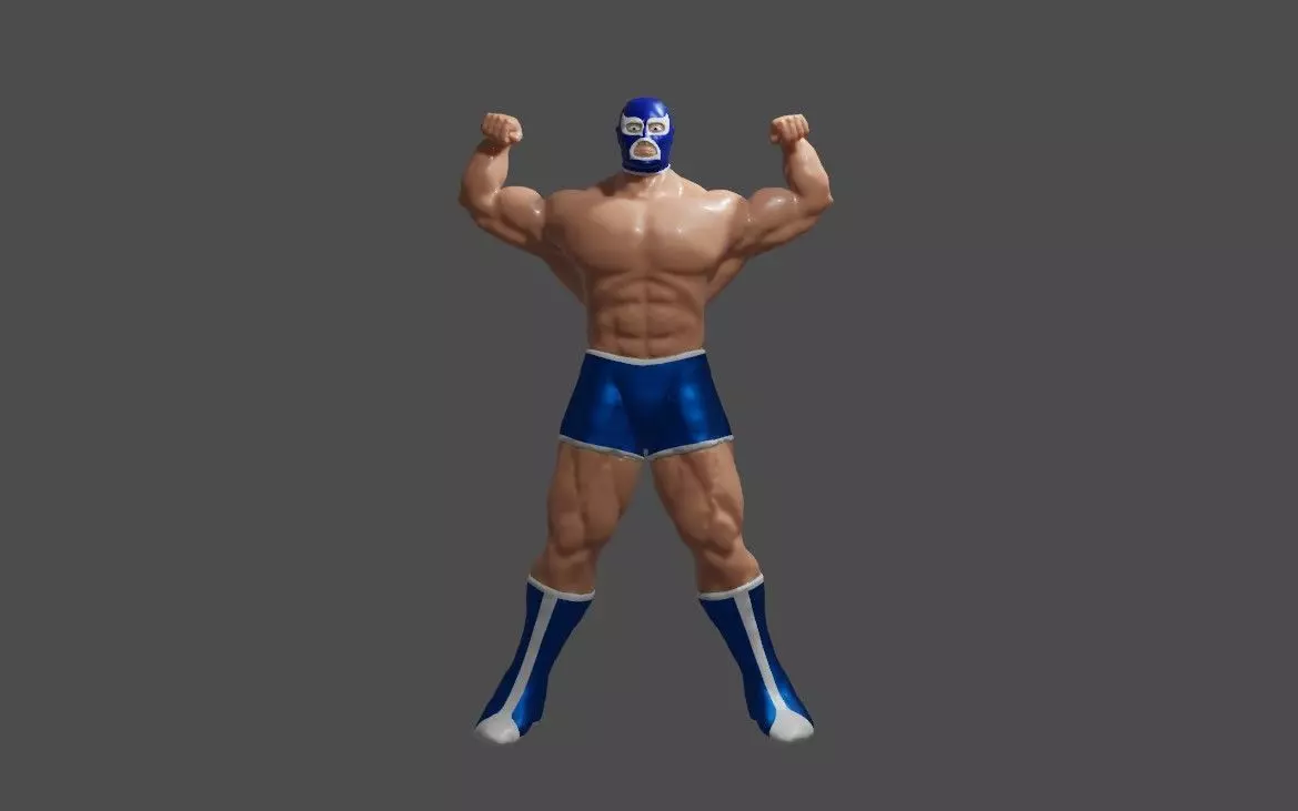 Masked Fighter - Lucha Libre 3D print model_0