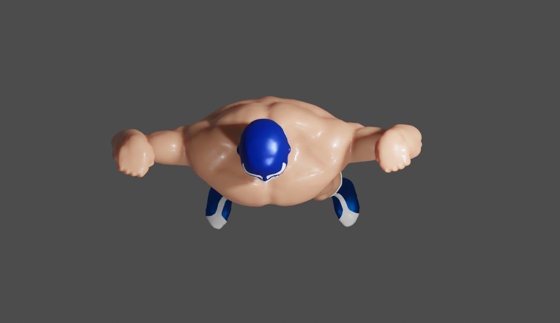 Masked Fighter - Lucha Libre 3D print model_21