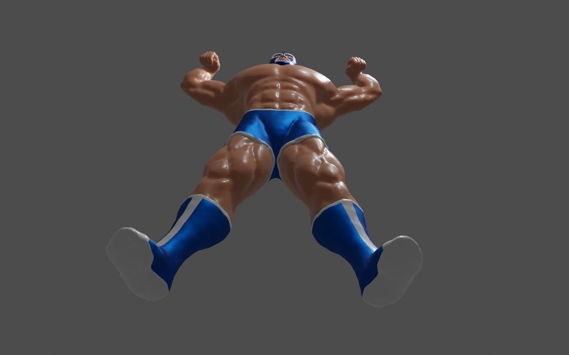 Masked Fighter - Lucha Libre 3D print model_22