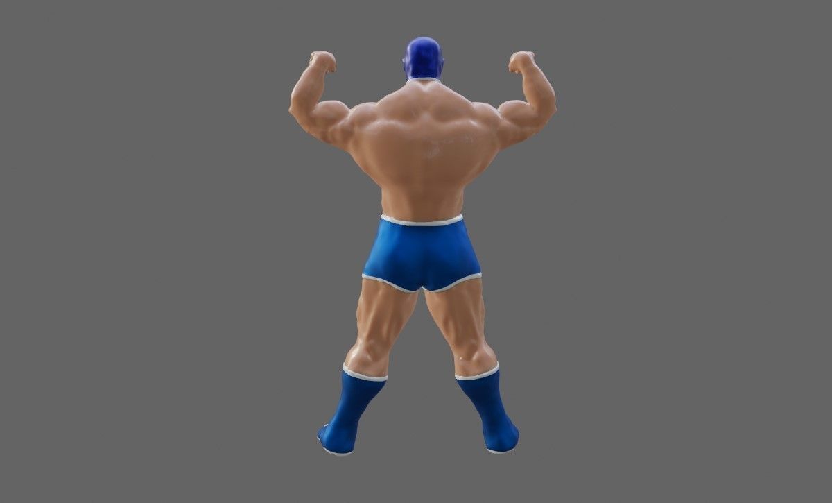 Masked Fighter - Lucha Libre 3D print model_25