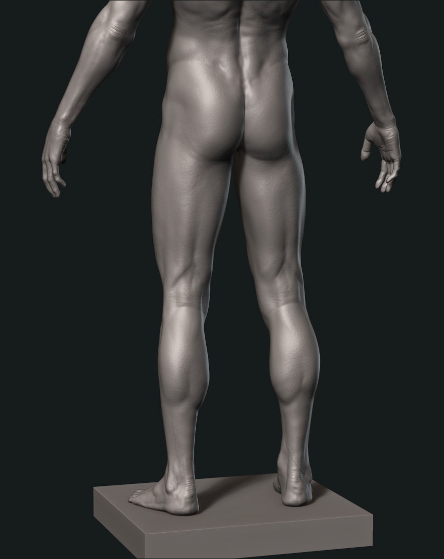 Man Detailed Basemesh 3D print model_7