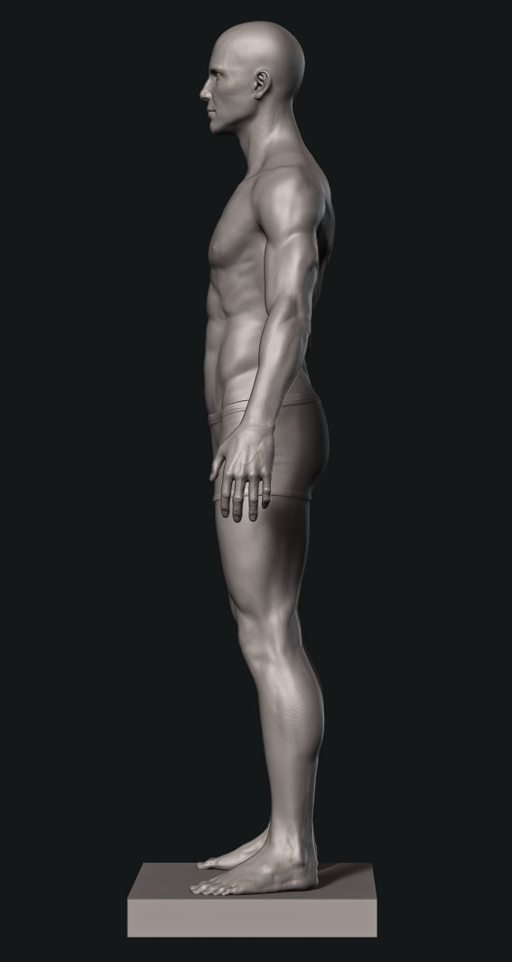 Man Detailed Basemesh 3D print model_11